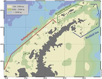 Viruses and Protists Induced-mortality of Prokaryotes around the Antarctic Peninsula during the Austral Summer